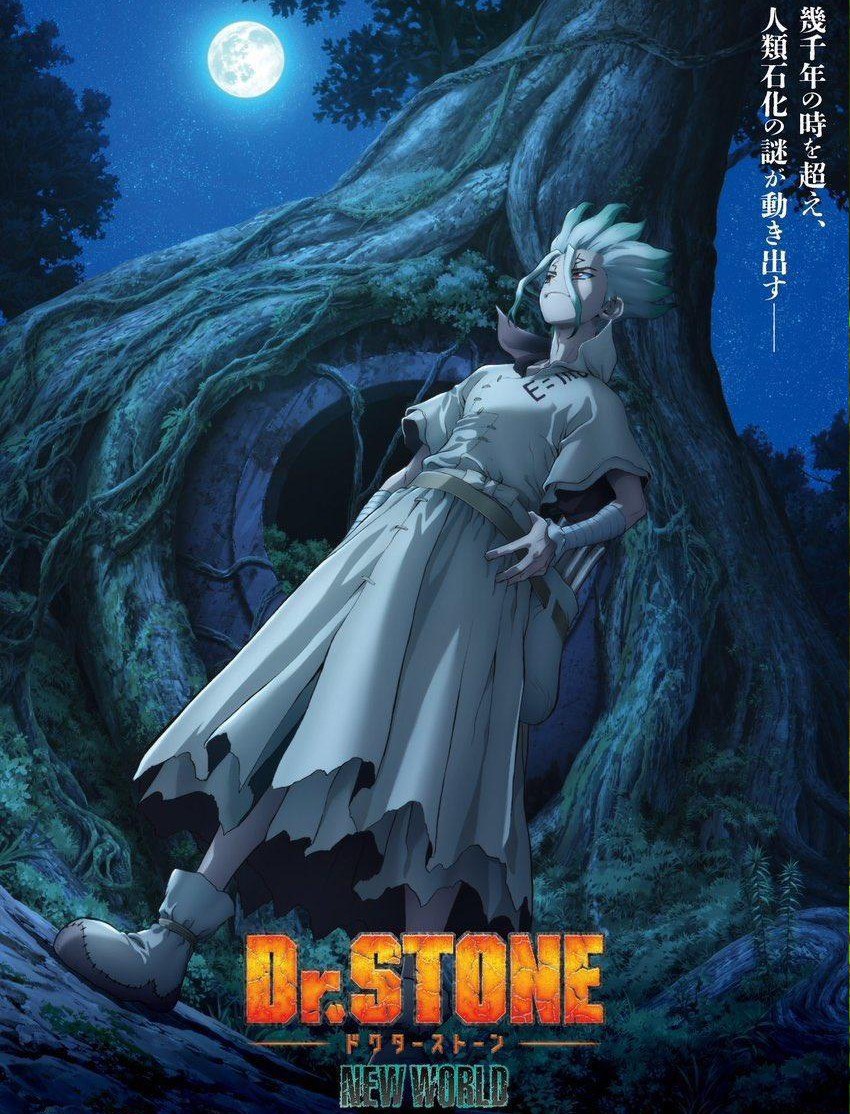 Dr. Stone