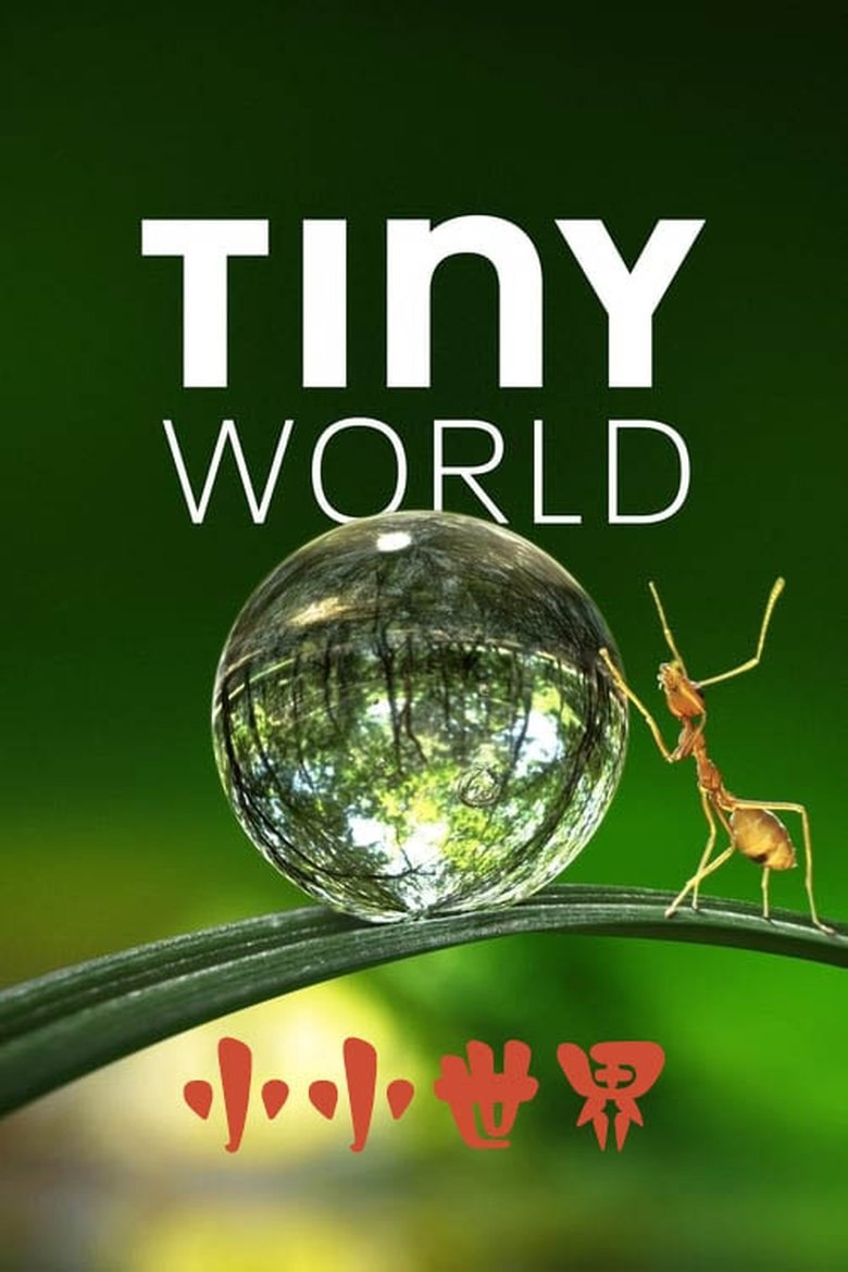 Tiny World