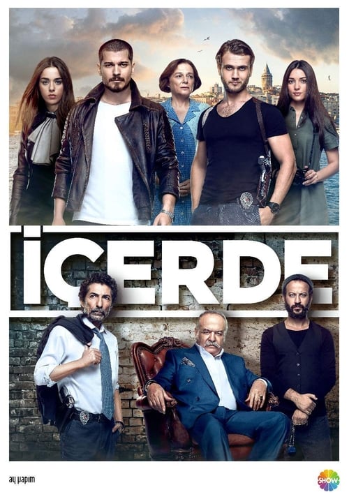 Icerde Tem:1