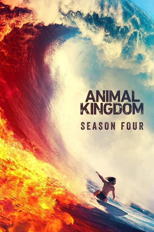 Animal Kingdom Tem:4