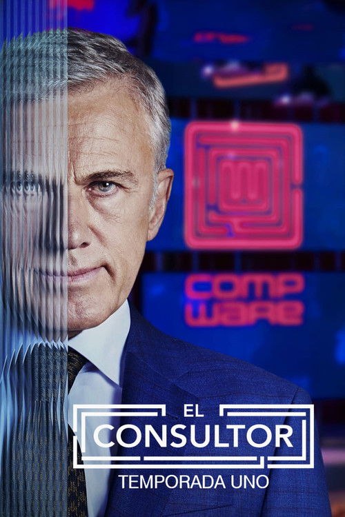 El consultor